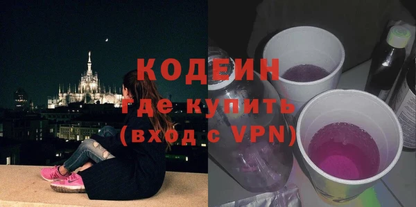 шишки Карпинск