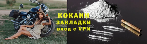 шишки Карпинск