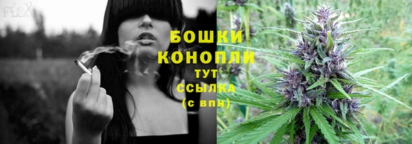 мет Каменка