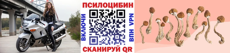 купить   Новошахтинск  Галлюциногенные грибы GOLDEN TEACHER 